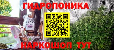 дживик Можга