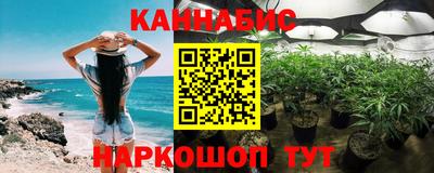 дживик Можга