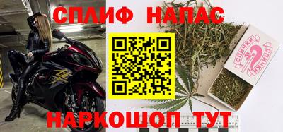 дживик Можга
