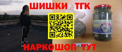 дживик Можга