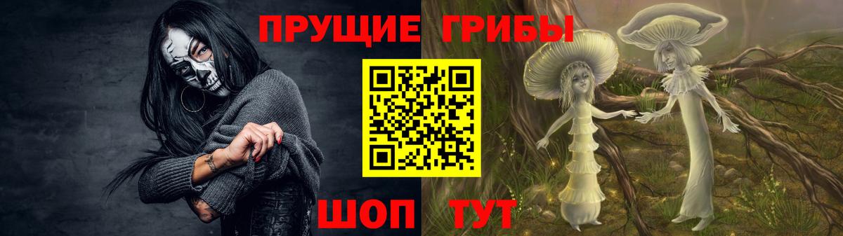 Галлюциногенные грибы MAGIC MUSHROOMS  Псилоцибиновые грибы ЛСД  Тосно  Вход с VPN 