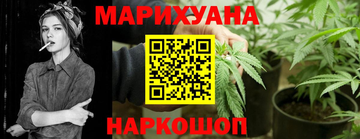 Каннабис Bruce Banner  МАРИХУАНА планчик  Каннабис ГИДРОПОН  Тосно  Бошки марихуана планчик  Вход с VPN 